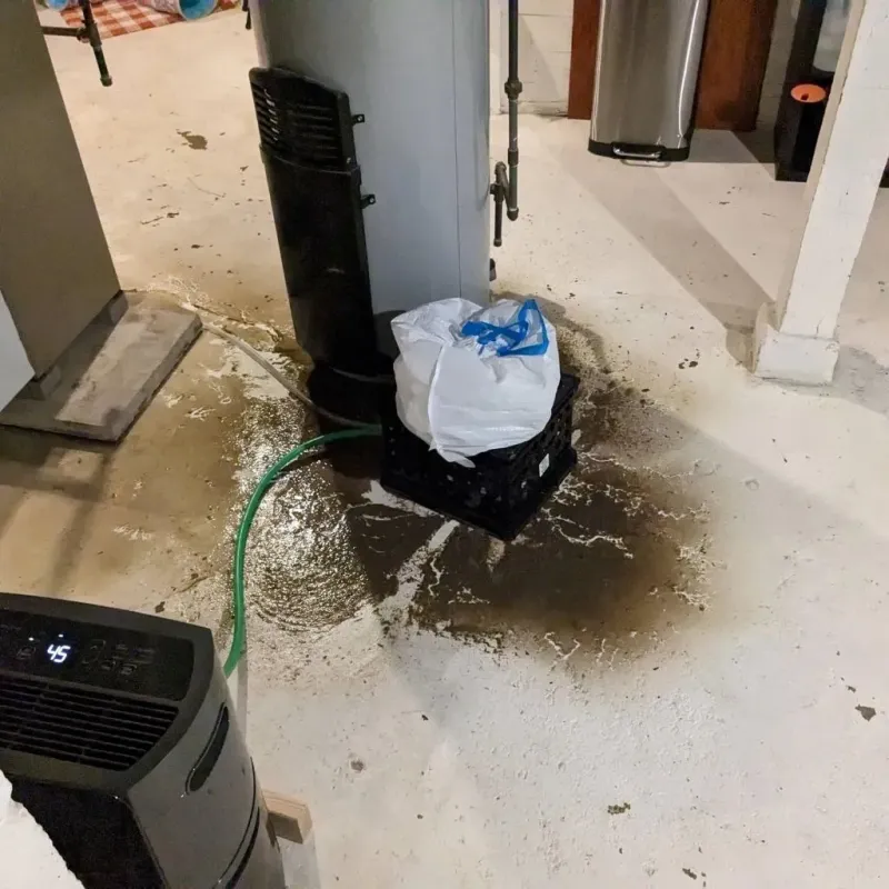 Sewage Backup Cleanup Service in Bloomfield, PA